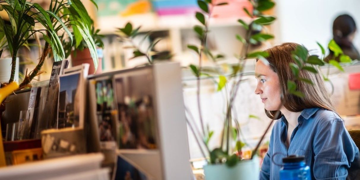 person looking at a screen in an office with plants