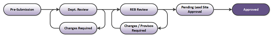 A diagram of a reb review

Description automatically generated